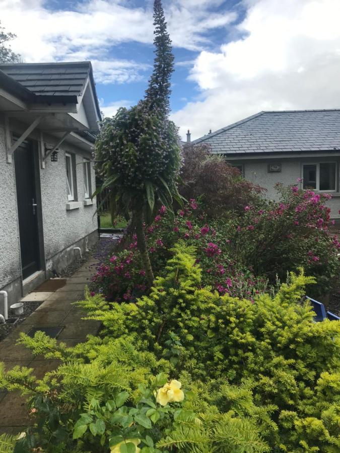 A Selection Of Self Catering Holiday Homes At Kilcloon Cottages Maynooth Exteriör bild