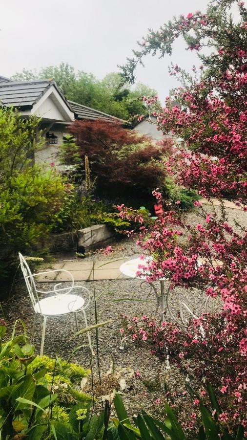 A Selection Of Self Catering Holiday Homes At Kilcloon Cottages Maynooth Exteriör bild