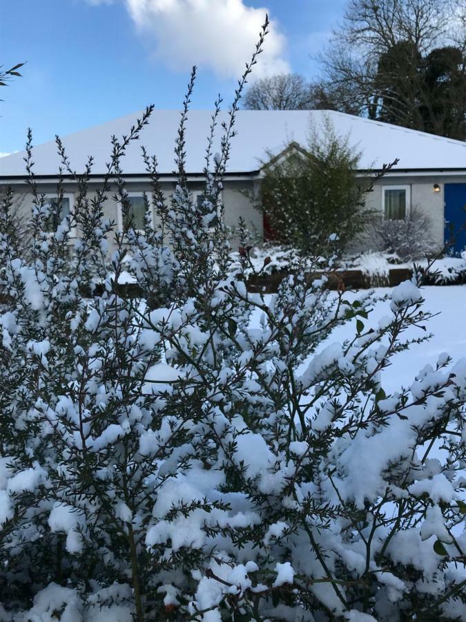 A Selection Of Self Catering Holiday Homes At Kilcloon Cottages Maynooth Exteriör bild