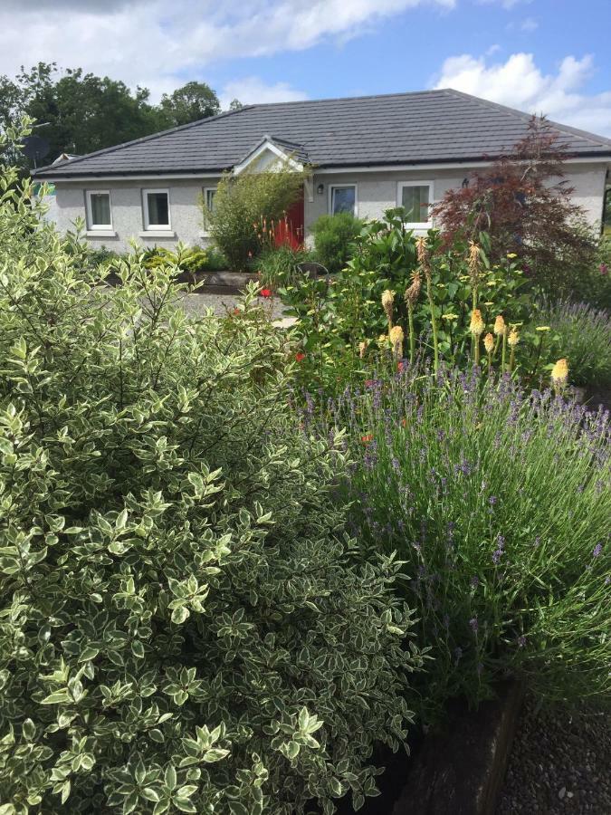 A Selection Of Self Catering Holiday Homes At Kilcloon Cottages Maynooth Exteriör bild